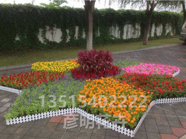花卉租摆